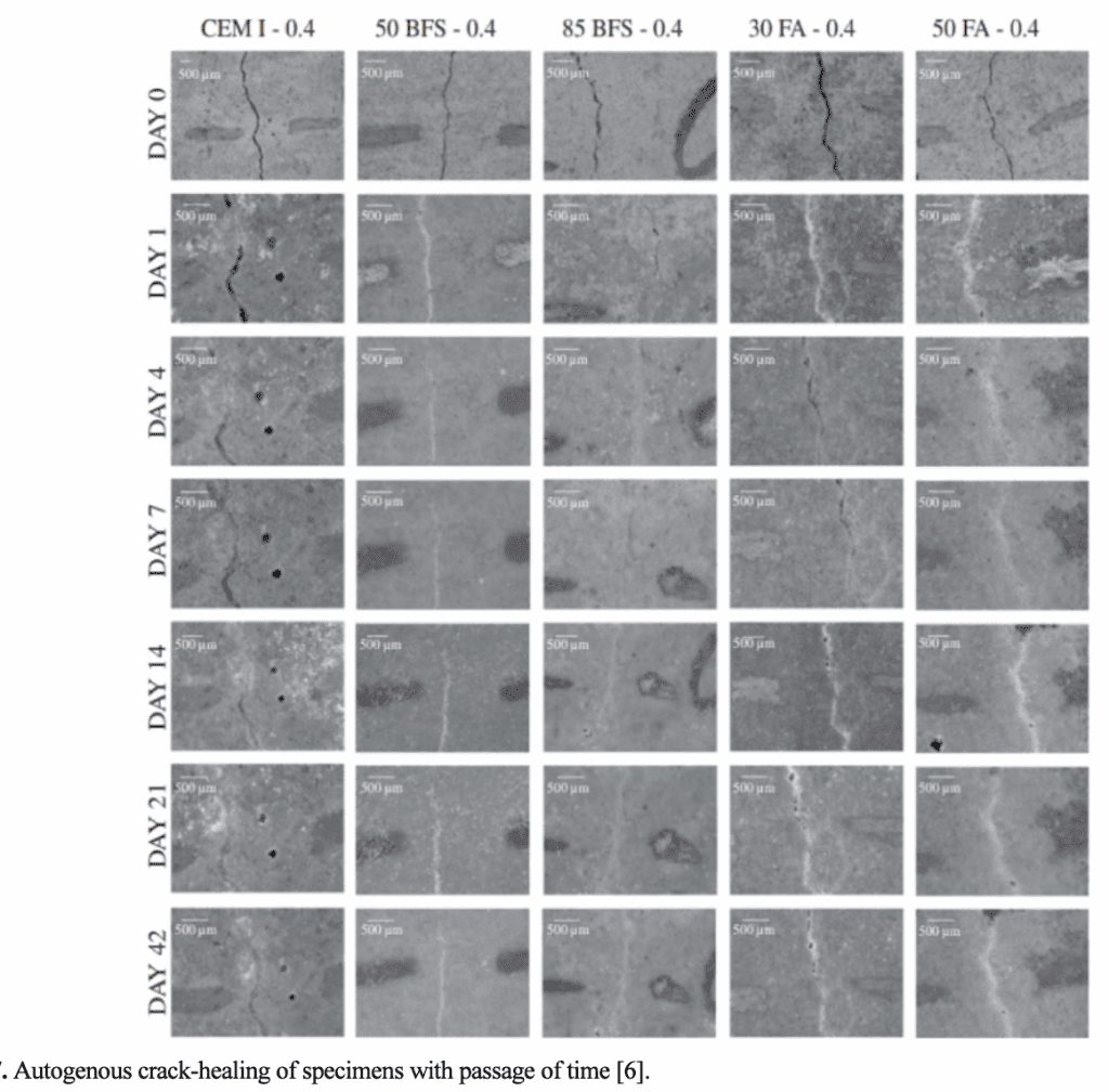 Self-healing properties of lime casts in plaster